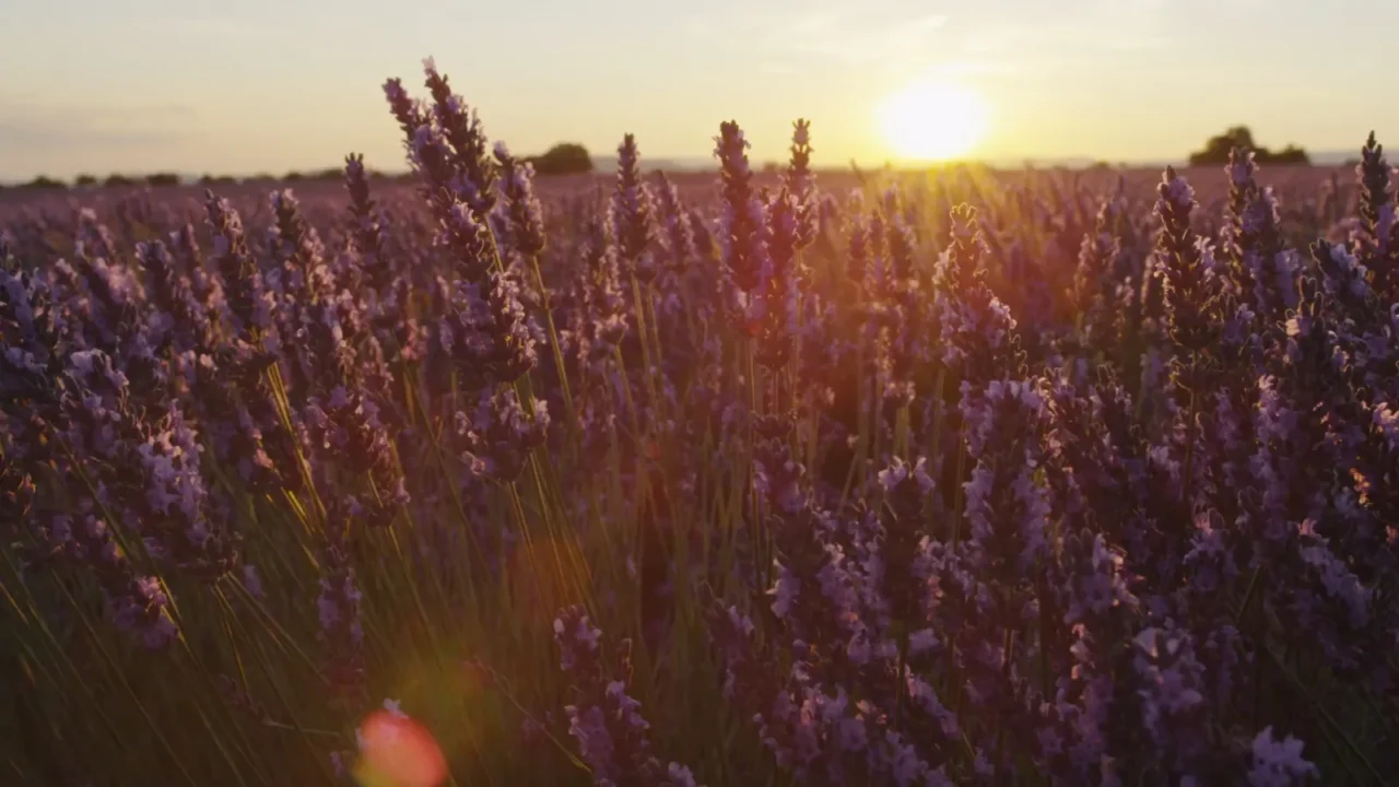 The Pre-Alps of Digne and the Verdon