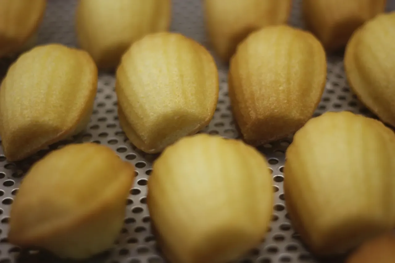 Madeleines au miel dorées et bombées, alignées sur une plaque de cuisson perforée